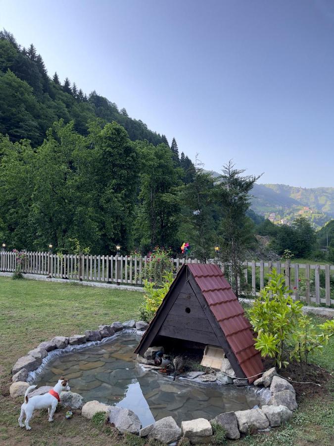 Dream River Exclusive Bungalow Rize Buitenkant foto